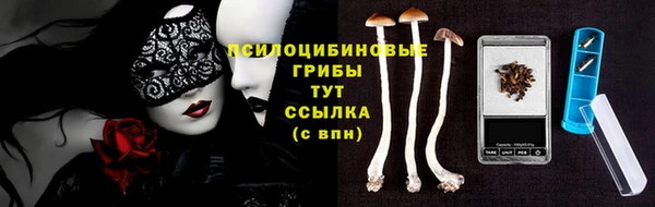 гашиш Новокубанск