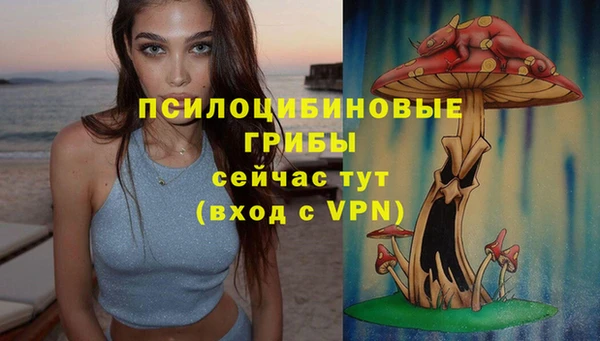 гашиш Новокубанск