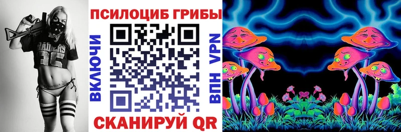 где найти наркотики  Орёл  Псилоцибиновые грибы Psilocybine cubensis 